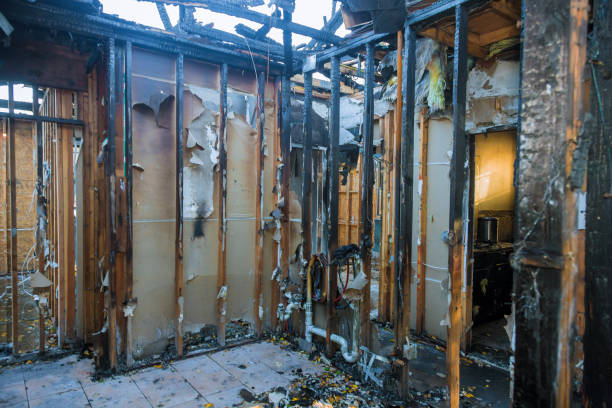 Professional Smoke Damage Removal technician working in San Elizario, TX